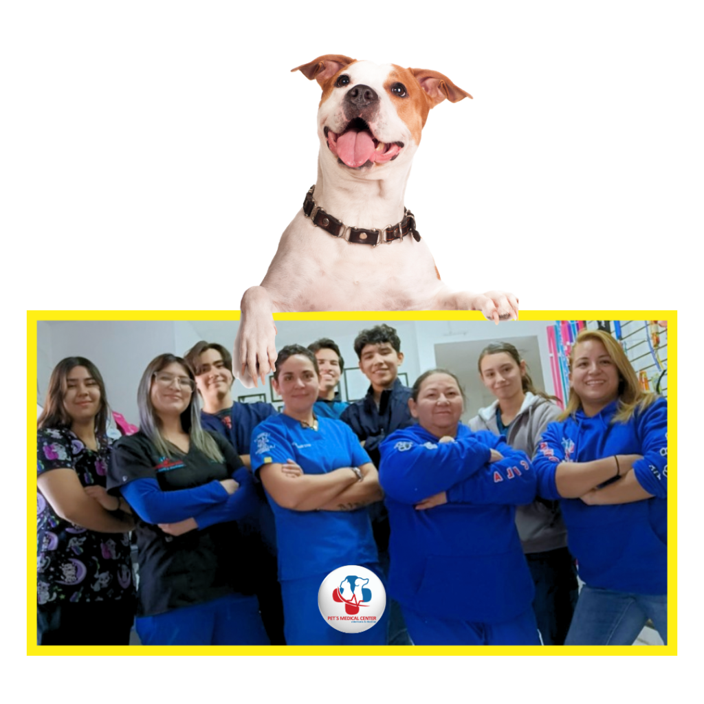 Veterinaria en Chihuahua